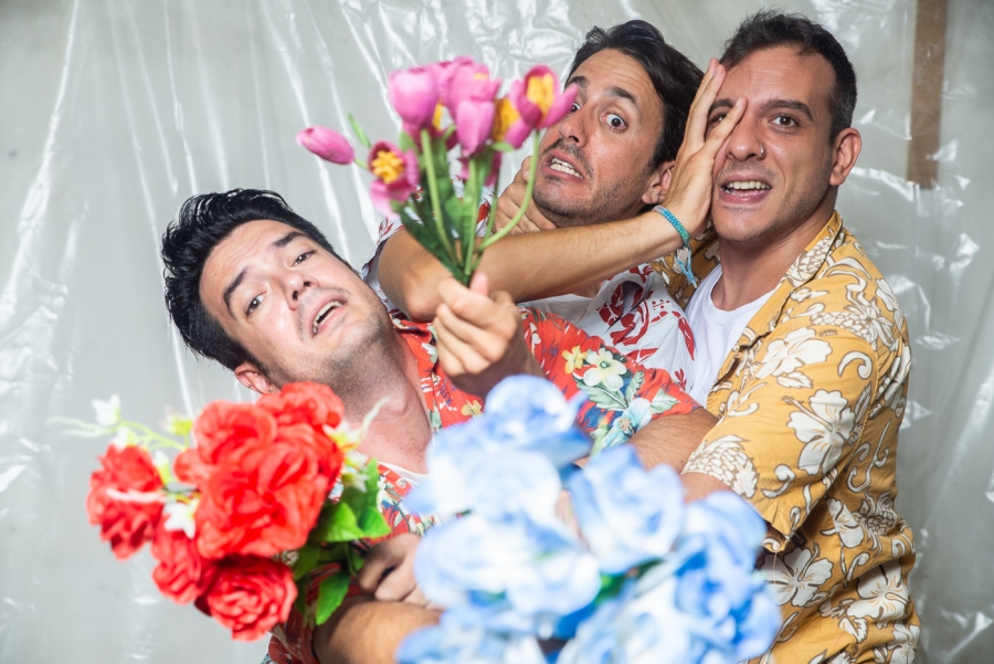 &Tau;&alpha; &lambda;&omicron;&upsilon;&lambda;&omicron;ύ&delta;&iota;&alpha; &sigma;&tau;&eta;&nu; &kappa;&upsilon;&rho;ί&alpha; - &theta;έ&alpha;&tau;&rho;&omicron; eliart