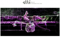 ANTIGONE TEST this is Me in my Room