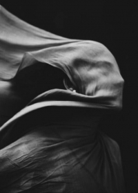 &Sigma;&alpha;&rho;&alpha;&kappa;&omicron;&sigma;&tau;&iota;&alpha;&nu;&omicron;ί &gamma;ά&mu;&omicron;&iota;  &pi;&omicron;ί&eta;&mu;&alpha; &tau;&eta;&sigmaf; &Mu;&alpha;&rho;ί&alpha;&sigmaf; &Pi;&alpha;&sigma;&lambda;ή.