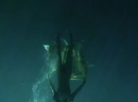 &Phi;&rho;&omicron;&sigma;ύ&nu;&eta;